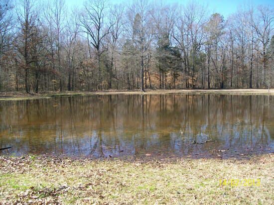 Tennessee Ghost Stories: The Bloody Pond